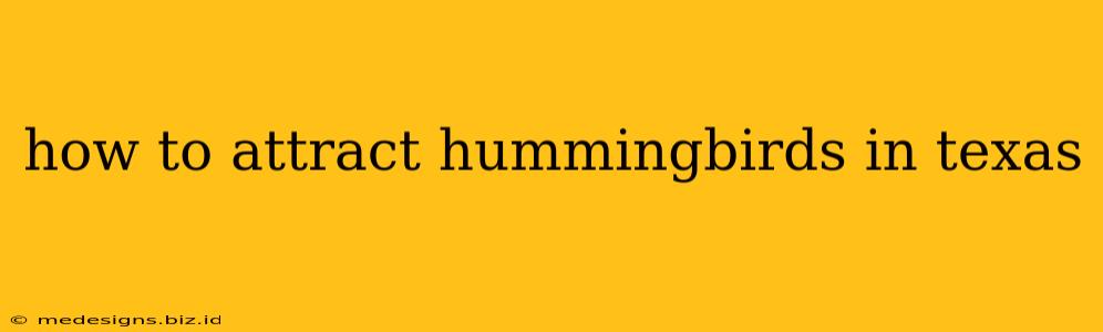 how to attract hummingbirds in texas