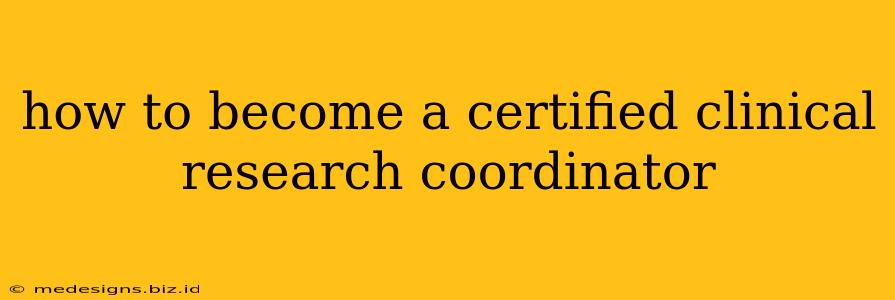 how to become a certified clinical research coordinator