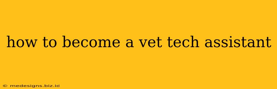 how to become a vet tech assistant