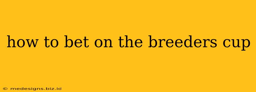 how to bet on the breeders cup