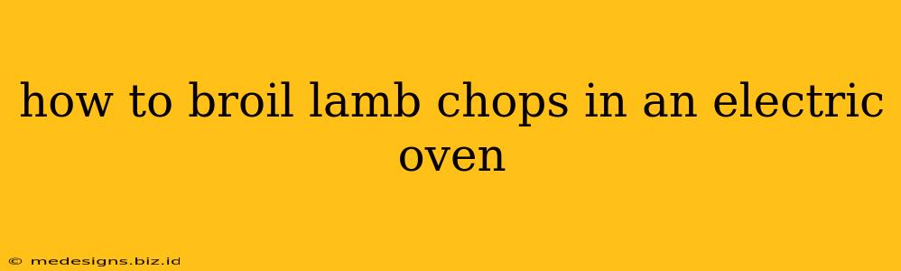 how to broil lamb chops in an electric oven