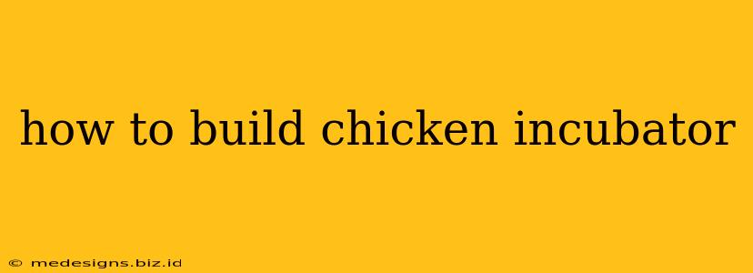 how to build chicken incubator
