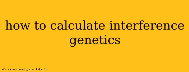 how to calculate interference genetics