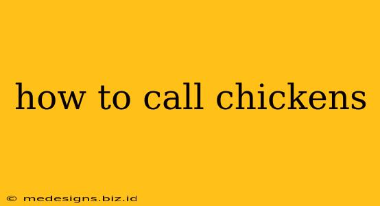 how to call chickens