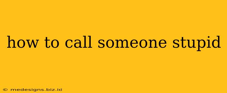 how to call someone stupid