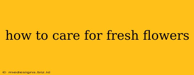 how to care for fresh flowers