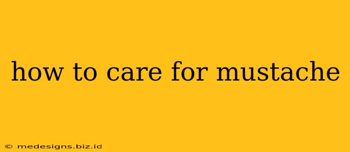 how to care for mustache
