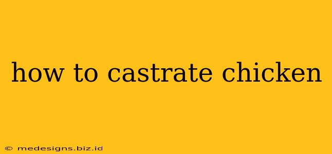 how to castrate chicken