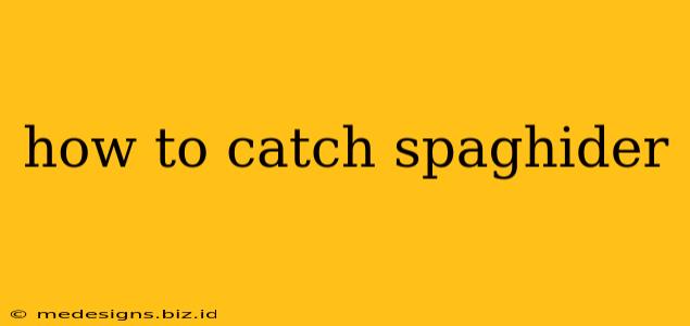 how to catch spaghider