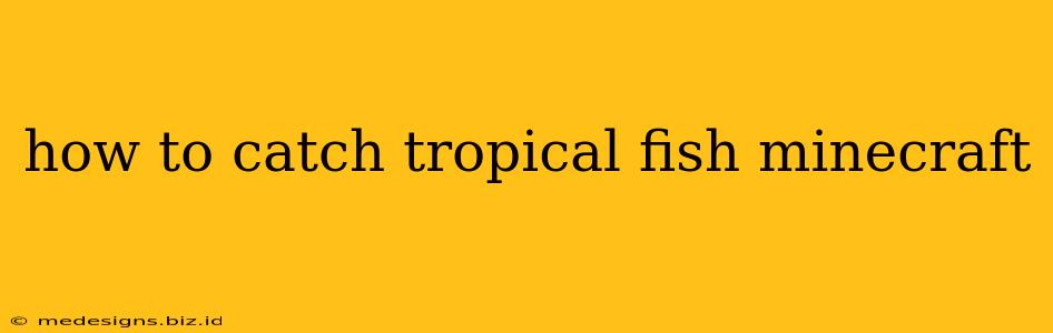 how to catch tropical fish minecraft