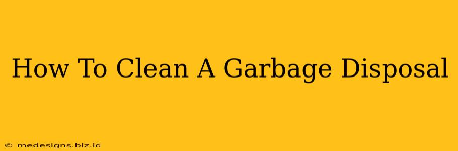 How To Clean A Garbage Disposal