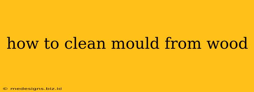 how to clean mould from wood