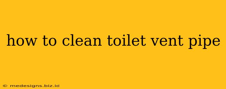 how to clean toilet vent pipe