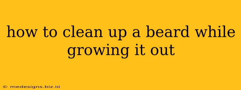 how to clean up a beard while growing it out