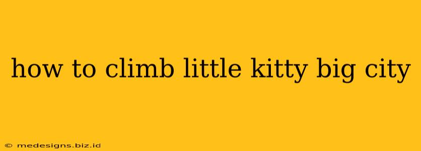how to climb little kitty big city
