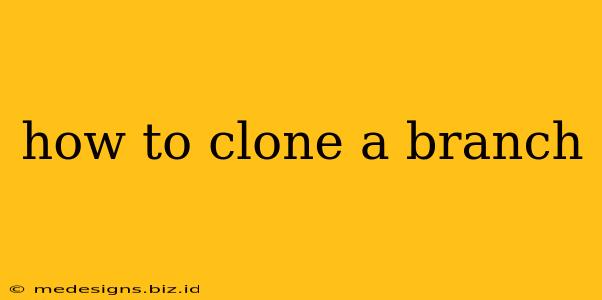 how to clone a branch