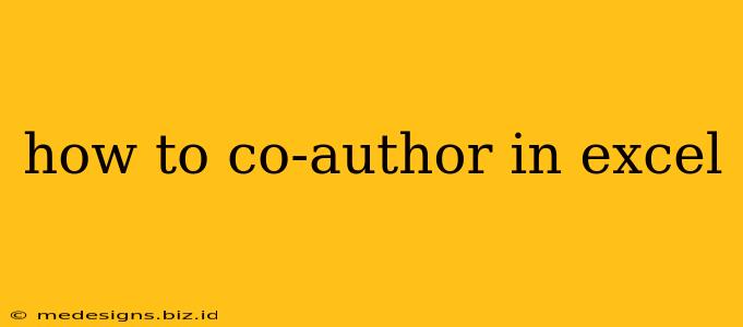 how to co-author in excel