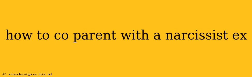 how to co parent with a narcissist ex
