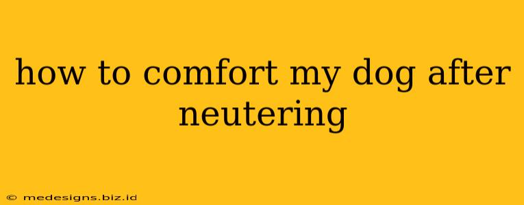 how to comfort my dog after neutering