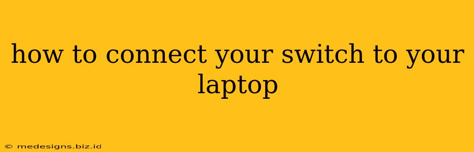 how to connect your switch to your laptop