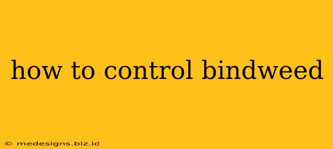 how to control bindweed