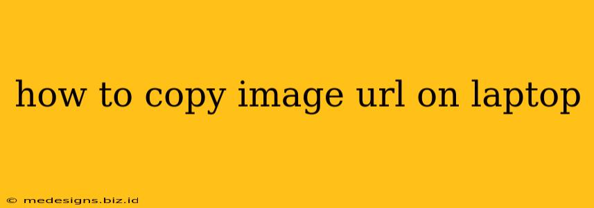 how to copy image url on laptop