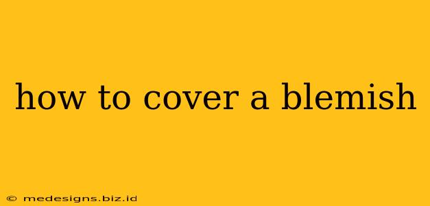 how to cover a blemish