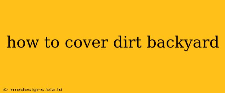 how to cover dirt backyard