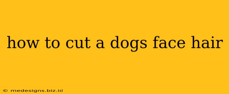 how to cut a dogs face hair