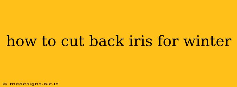 how to cut back iris for winter