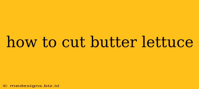 how to cut butter lettuce