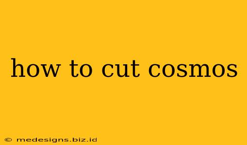 how to cut cosmos