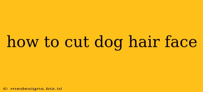 how to cut dog hair face
