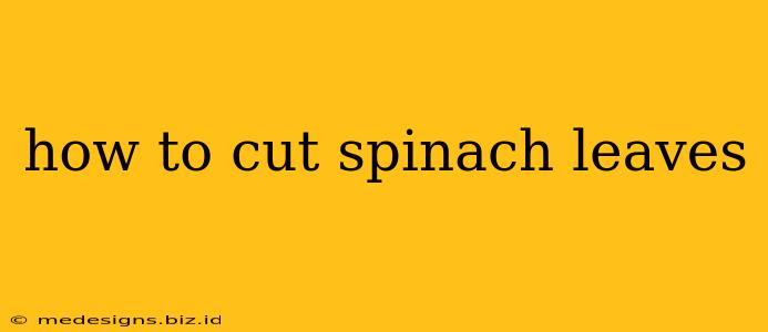 how to cut spinach leaves