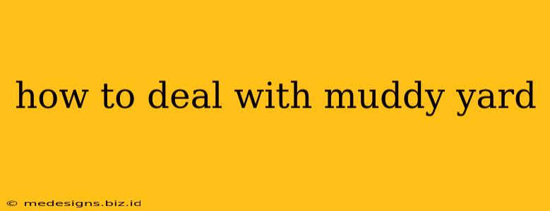 how to deal with muddy yard