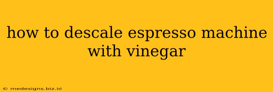 how to descale espresso machine with vinegar