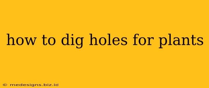 how to dig holes for plants