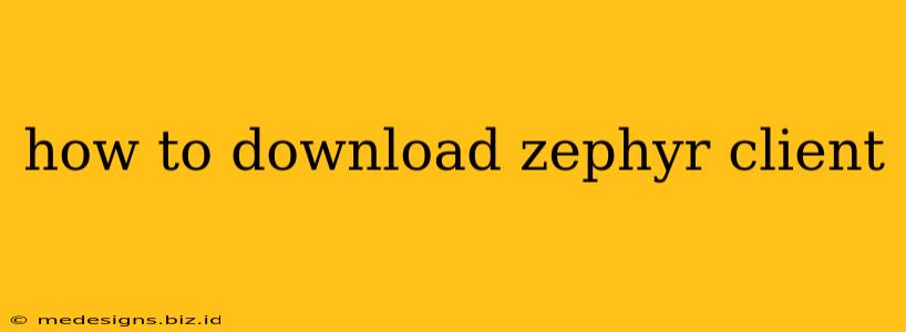 how to download zephyr client