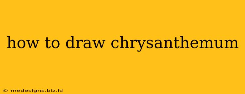 how to draw chrysanthemum