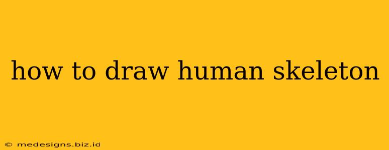 how to draw human skeleton