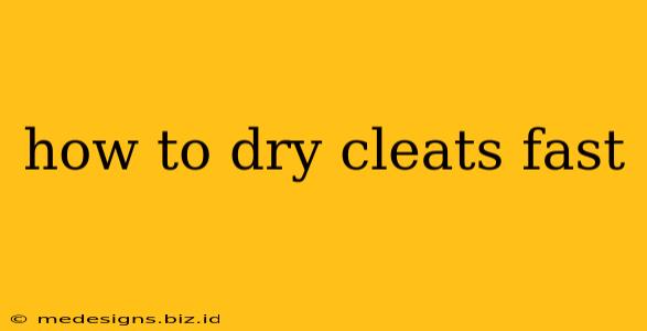 how to dry cleats fast