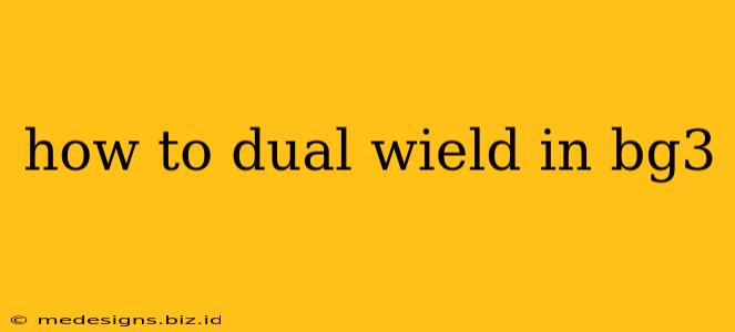 how to dual wield in bg3
