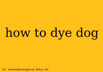 how to dye dog