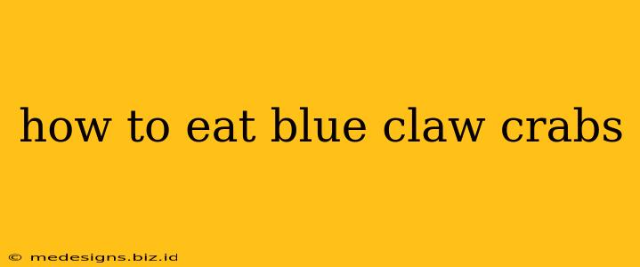 how to eat blue claw crabs