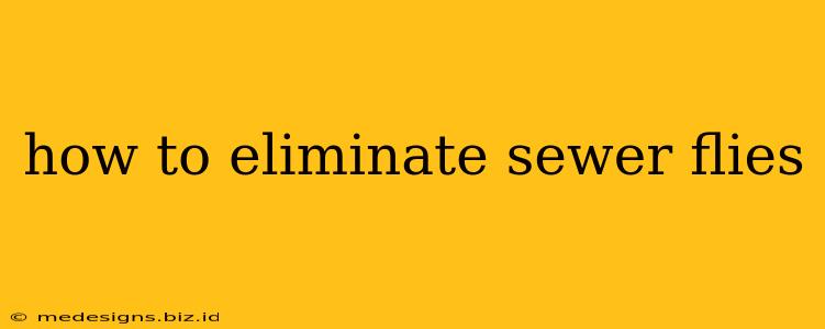 how to eliminate sewer flies