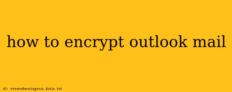 how to encrypt outlook mail