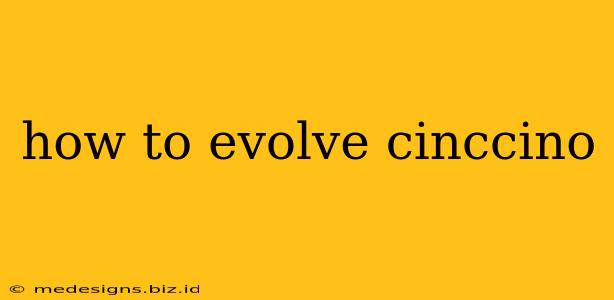 how to evolve cinccino