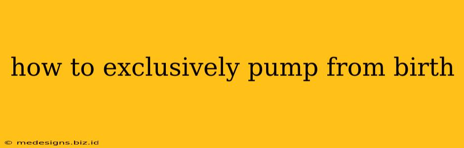 how to exclusively pump from birth