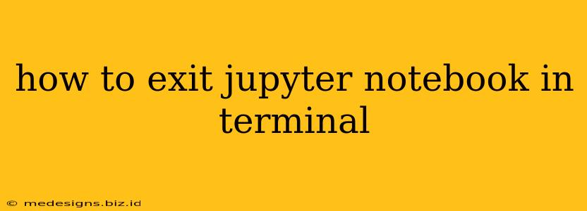 how to exit jupyter notebook in terminal