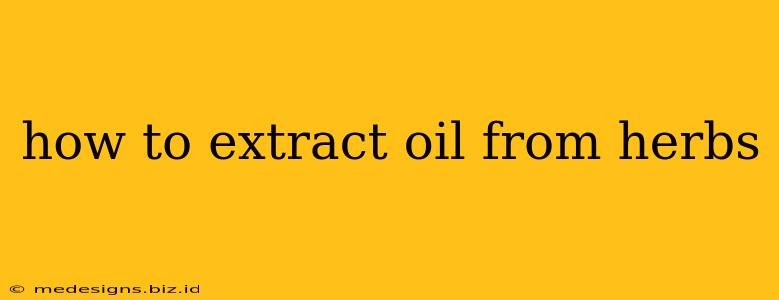 how to extract oil from herbs
